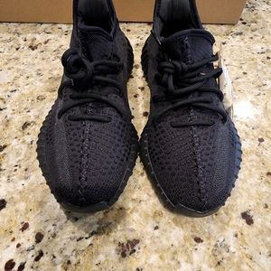 Yeezy Adidas Boost 350 V2